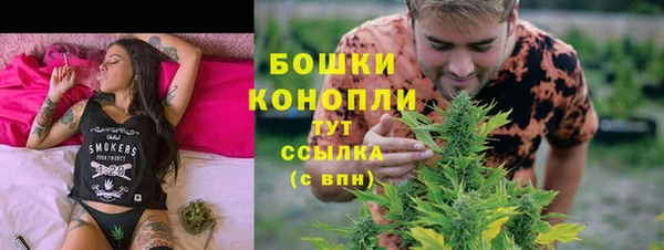 сатива Ростов